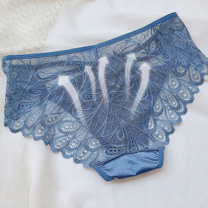 Culotte transparente en dentelle sexy pour femme grande taille ⚡⚡Achetez-en 3, obtenez-en 1 gratuit